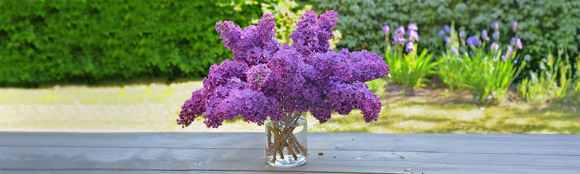Sträucher für Blumensträuße: eigene Vasen