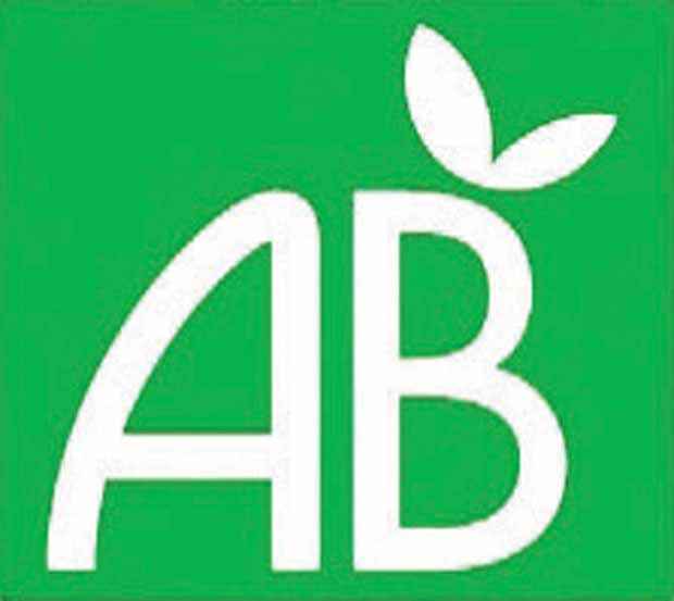 Rettich 18-Tage halblang Bio - Raphanus sativus de 18 jours 1/2 long - Willemse