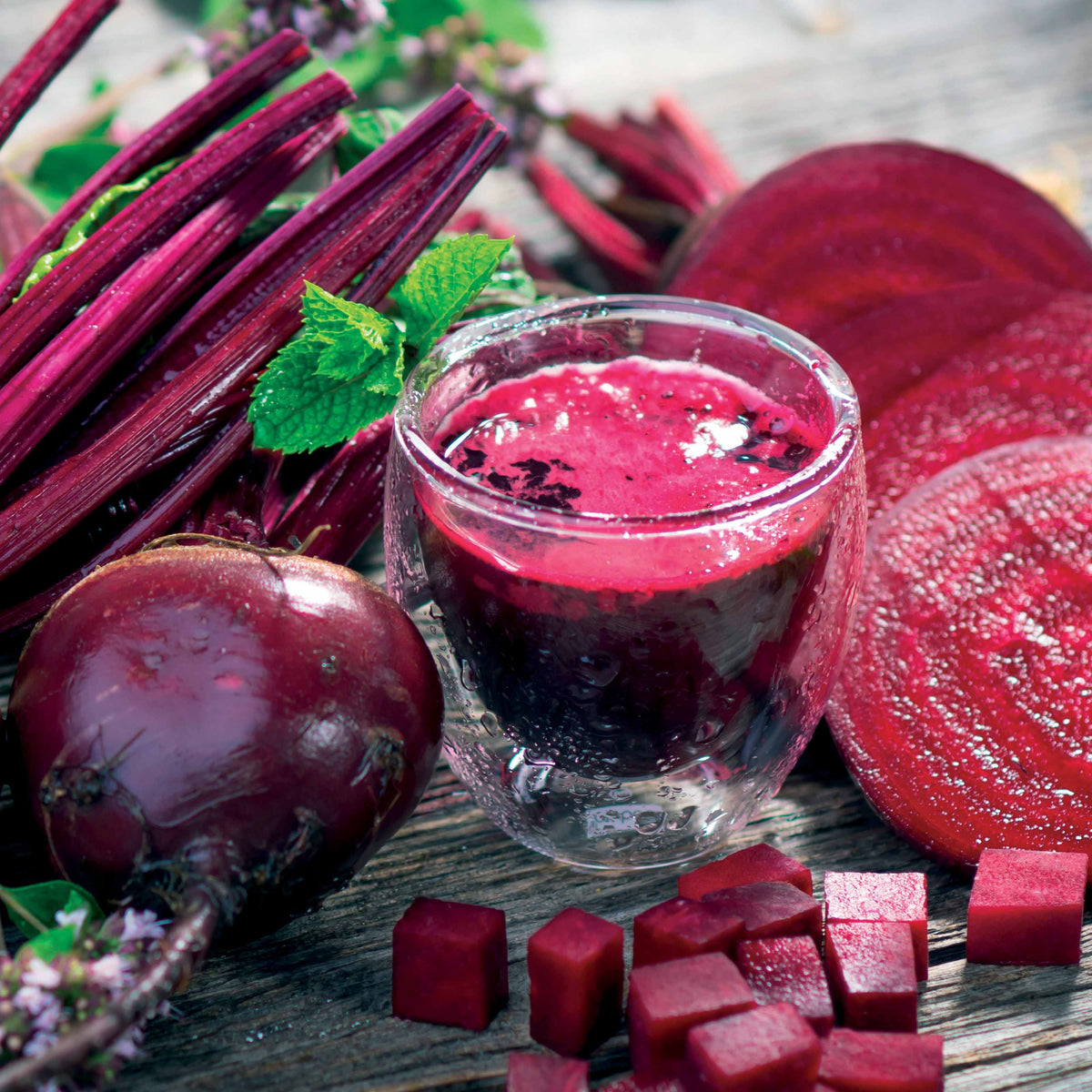 Rote Beete Detroit Globe - Beta vulgaris rouge de Détroit 2 - Willemse