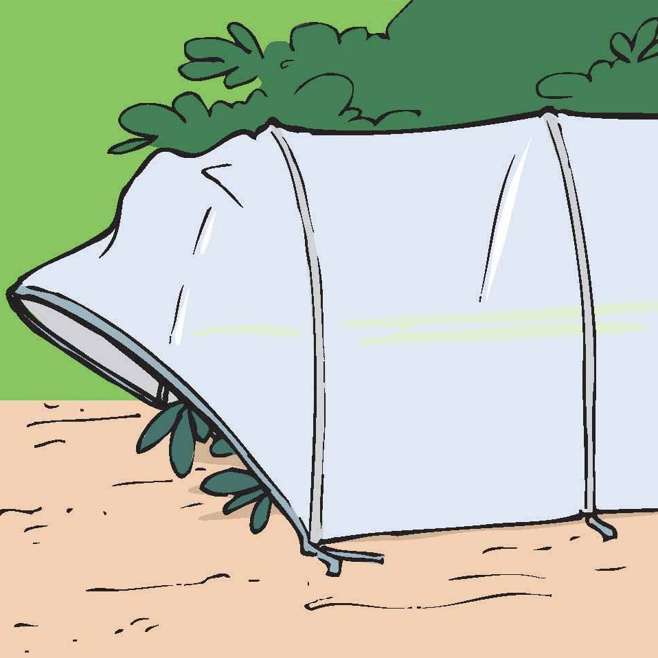 Tunnel Akkordeon vormontiert - Willemse