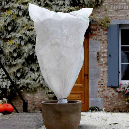 3er-set überwinterungschüllen 30 G/M² - Willemse