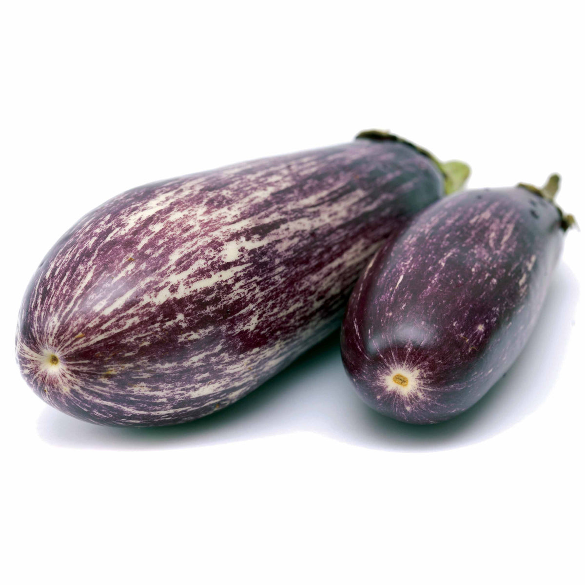 Aubergine Rania - Solanum melongena rania - Gemüse