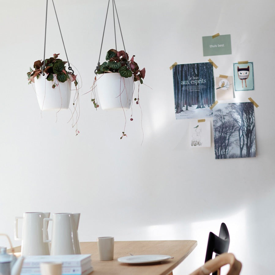 Elho Hängeschale Brussels rund anthrazit