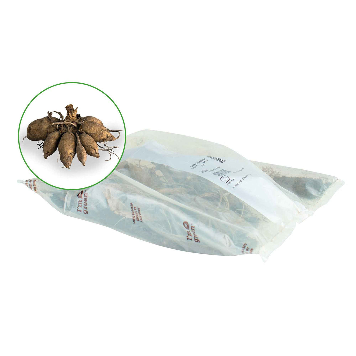 Dahlia 'lavender perfection' - Dahlia 'Lavender Perfection' (x3) - Dahlien-Zwiebeln