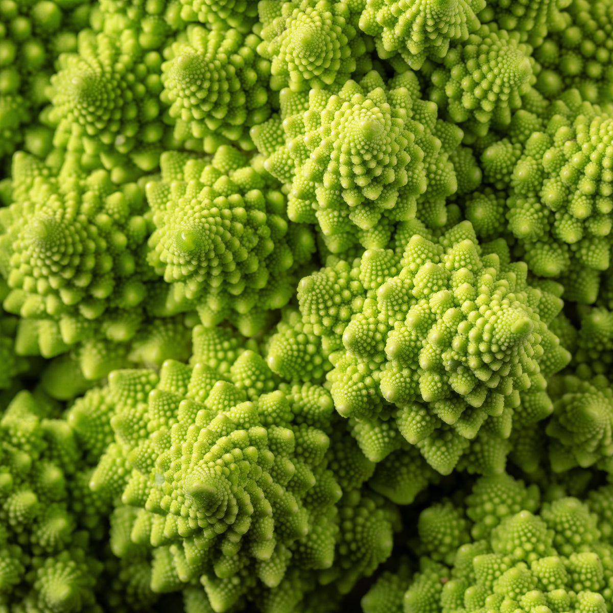 Brokkoli ‘Romanesco’