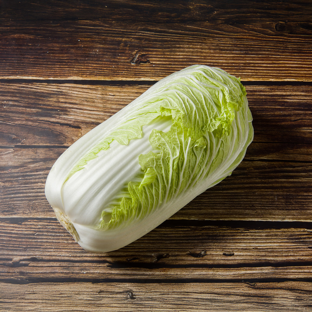 Chinakohl Pe-Tsai - Willemse