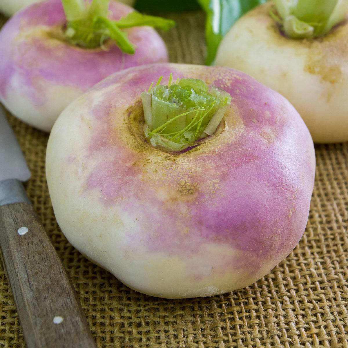 Mairübe-Navet Di Milano a colletto rosa - Willemse