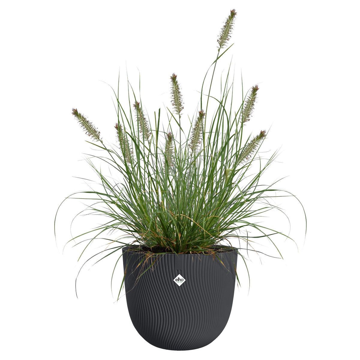 Blumentopf Sereh rund santhrazit - - Willemse