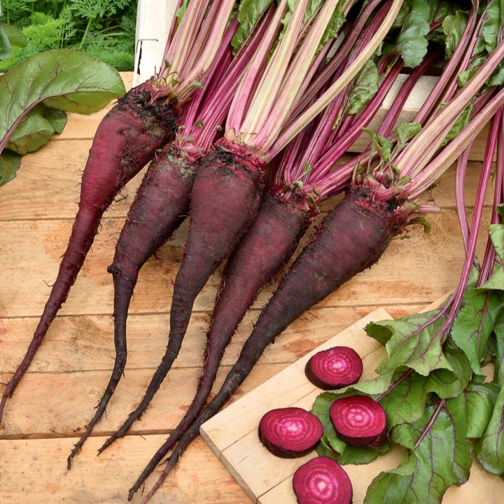 Rote Bete Krötchen - Willemse