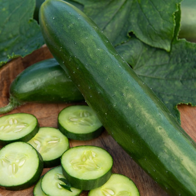 Gurke ‘Le Généreux’