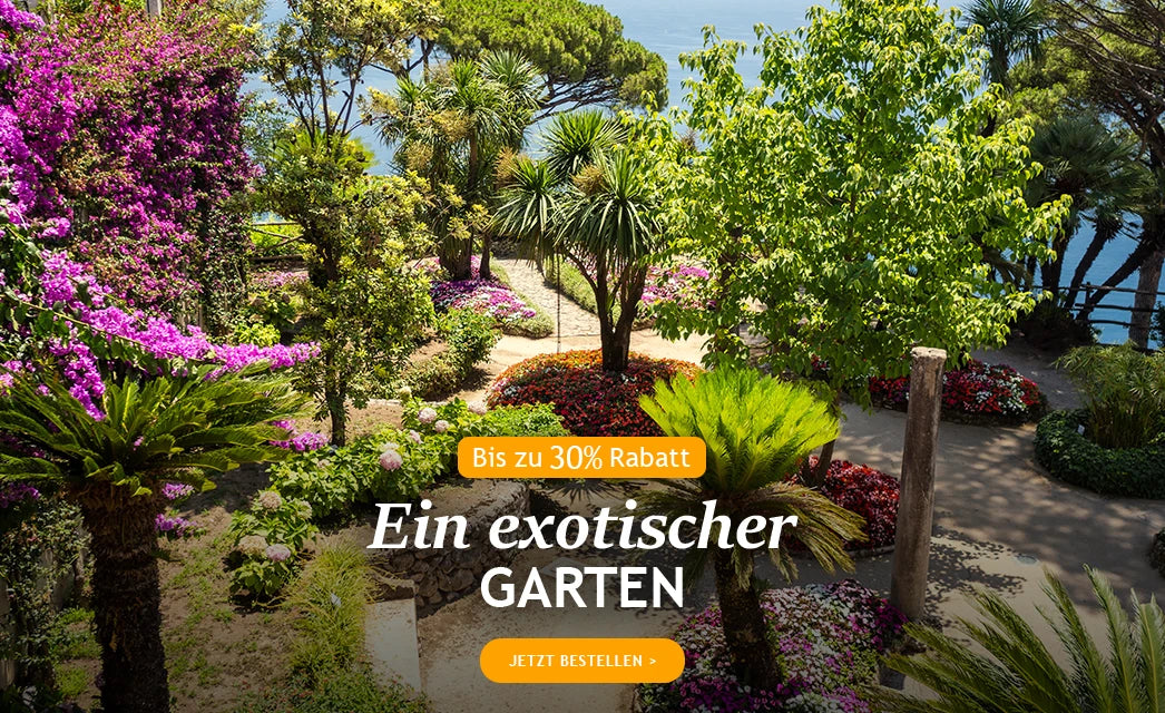 Ein exotischer Garten bis zu 30%!