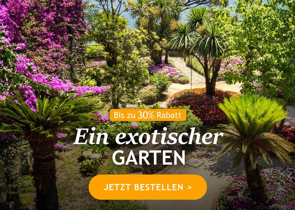 Ein exotischer Garten bis zu 30%!