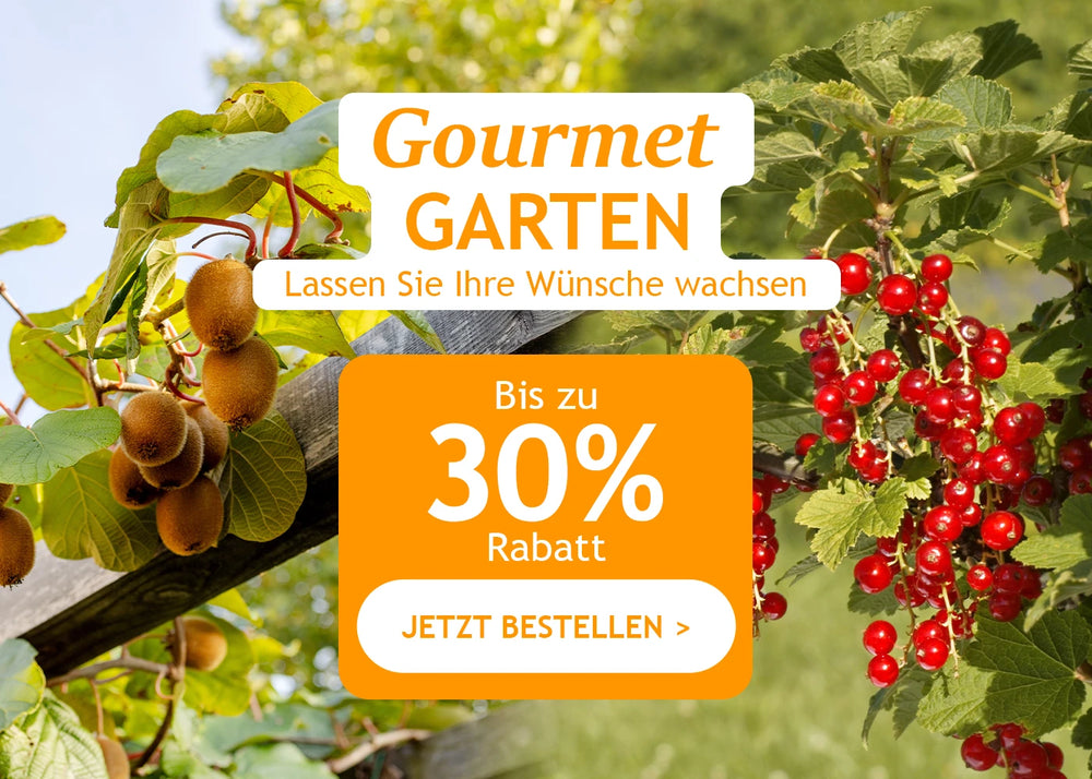 Gourmet-Garten bis zu 30 % Rabatt!