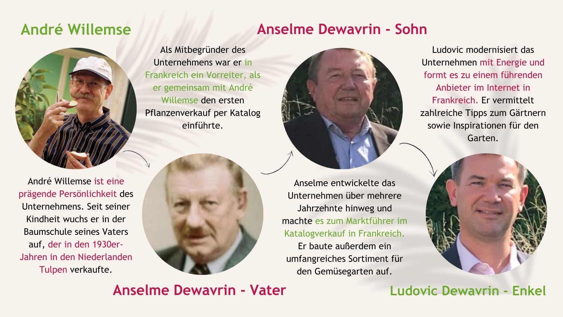 Die Geschichte von Willemse