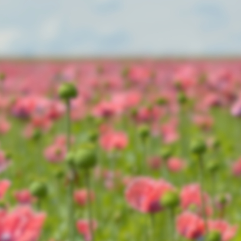 QUI SOMMES-NOUS (12).png__PID:b7056c26-d4a8-4cf5-b30d-992f2d697c64