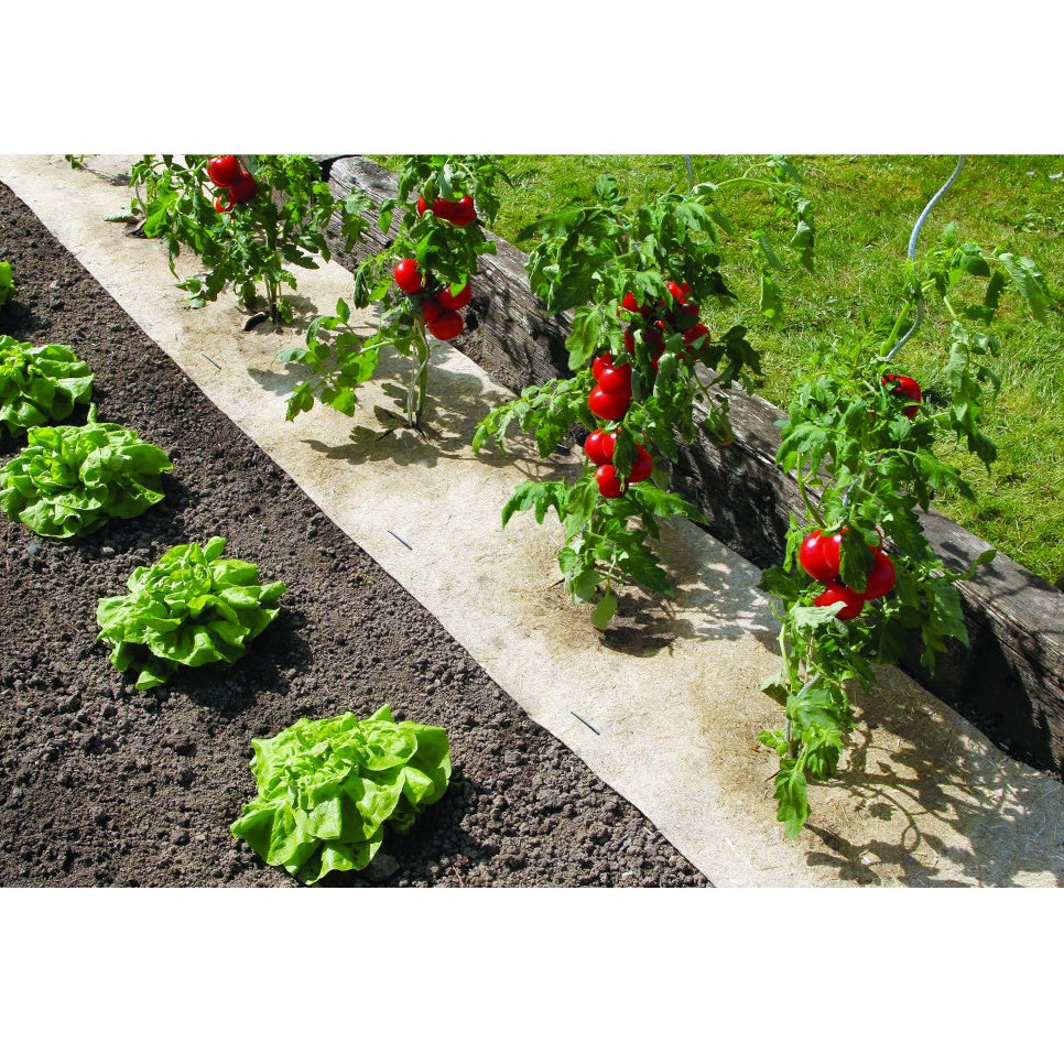 Natürlicher, biologisch abbaubarer Mulch Chanvrelin - - Willemse