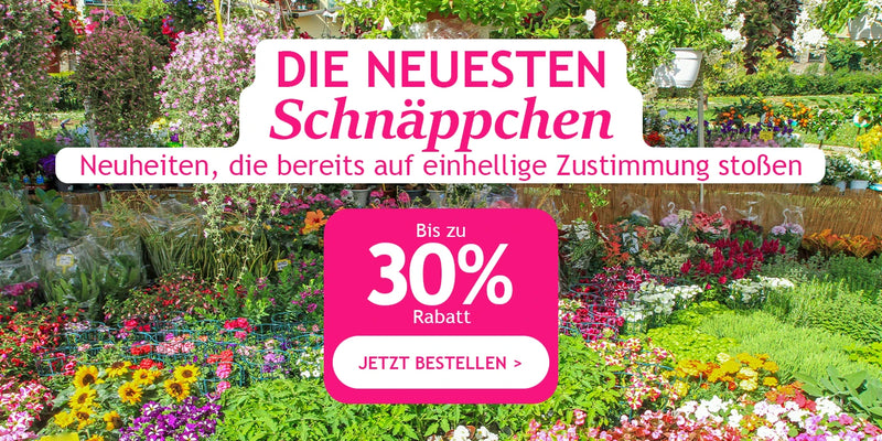 Die neuesten Schnäppchen bis zu 30 % Rabatt!