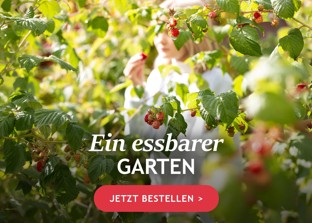 Alles für einen essbaren Garten