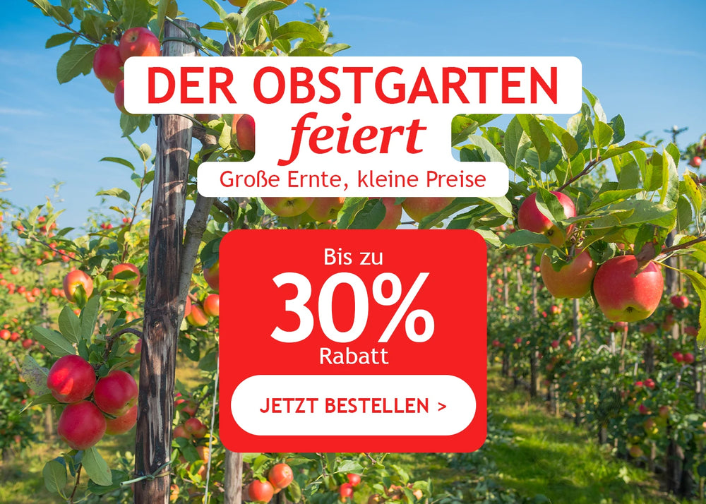 Der Obstgarten feiert: bis zu -30 ù Rabatt