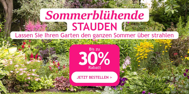 Sommerblühende Stauden bis zu 30% Rabatt!