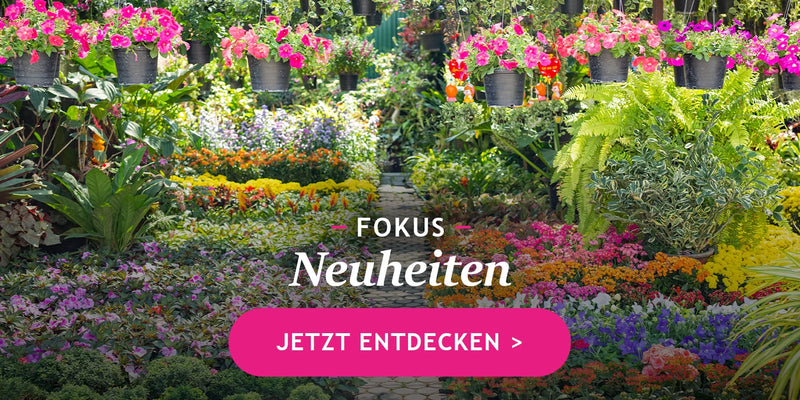 Neuheiten