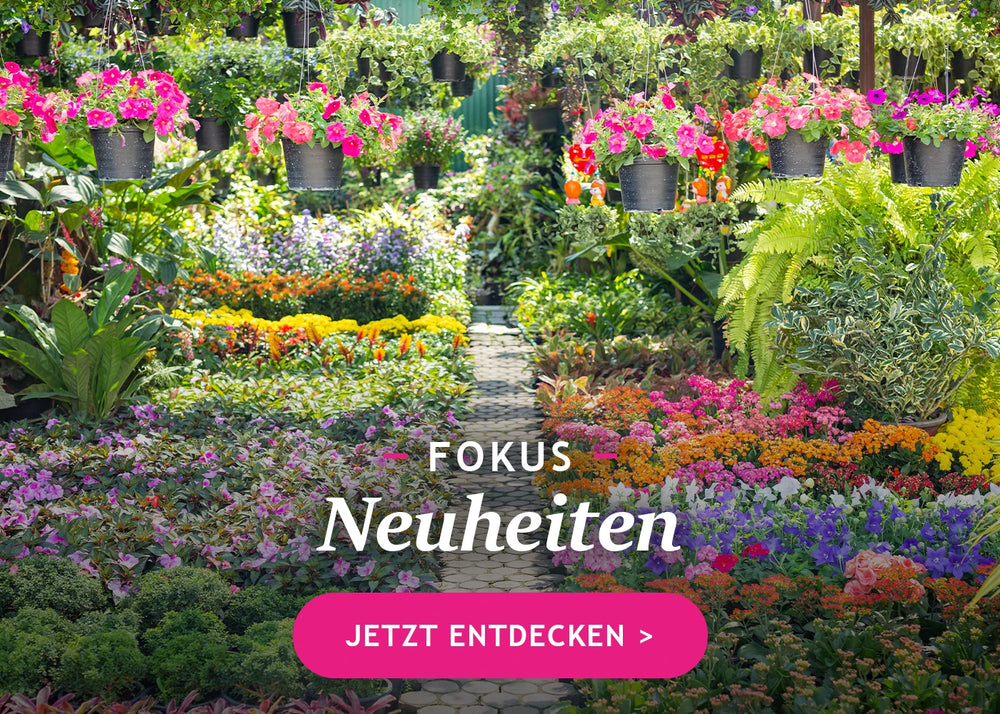 Neuheiten