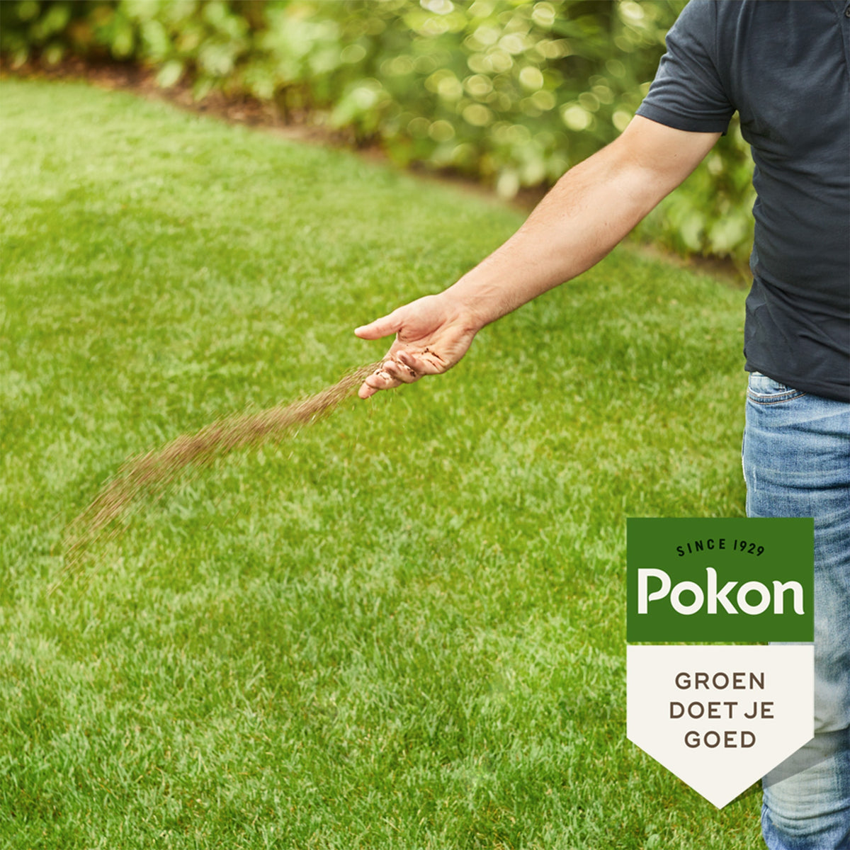 Pokon Bio Rasendünger