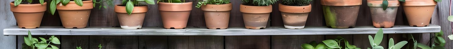 Aromatische Kräuter für die Terrasse
