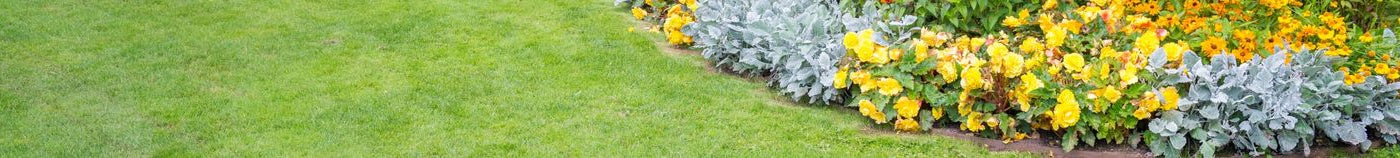 Blumenbeet
