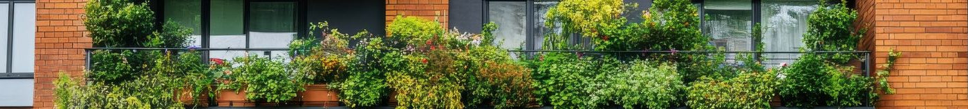 Dschungelartiger Balkon