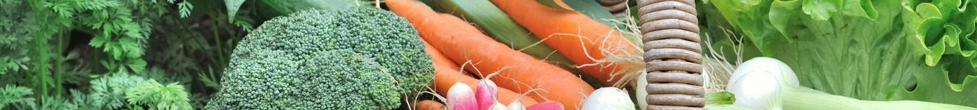 Ertragreicher Gemüsegarten