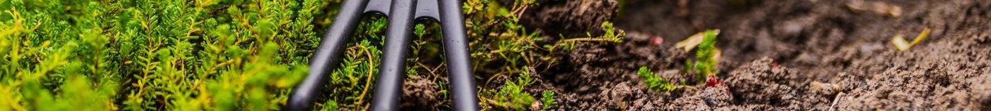 Gemüsegarten im Einklang mit den Jahreszeiten