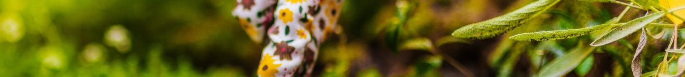 Gemüsegarten im Frühling