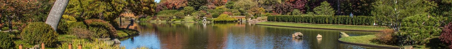 Pflanzen für den Teich