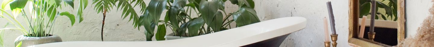 Pflanzen für das Badezimmer