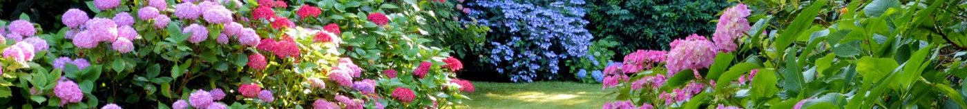Pflanzen für einen gemäßigten Garten
