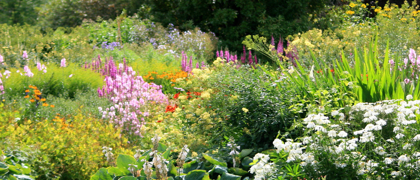 Blühender Garten das ganze Jahr