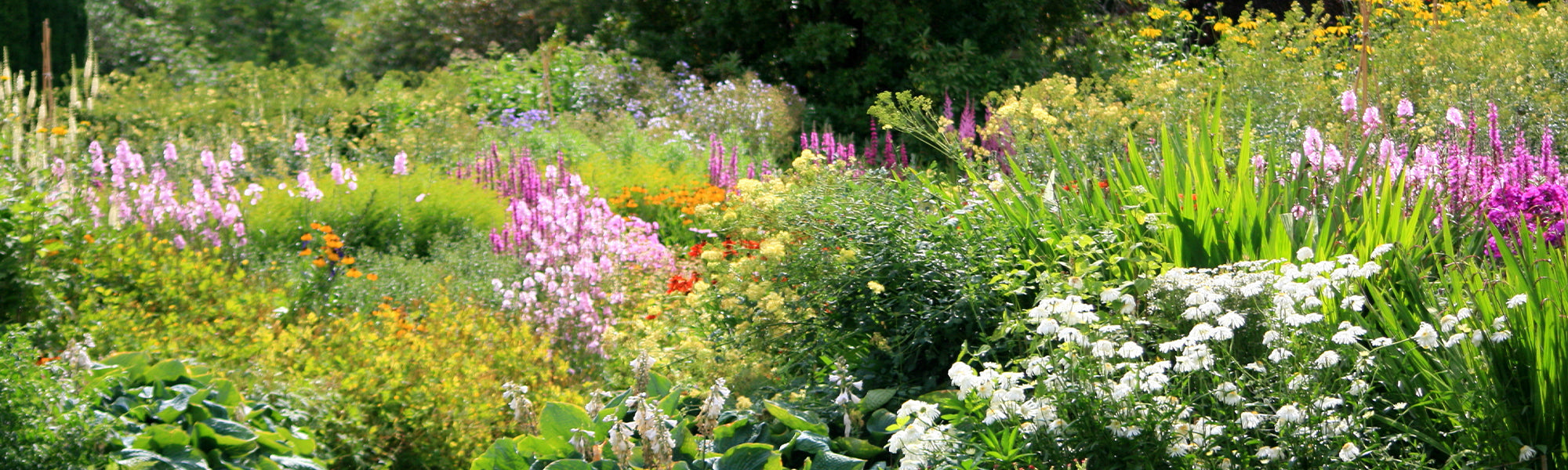 Blühender Garten das ganze Jahr