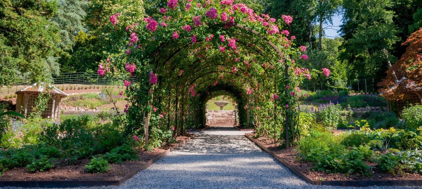 Romantischer Garten