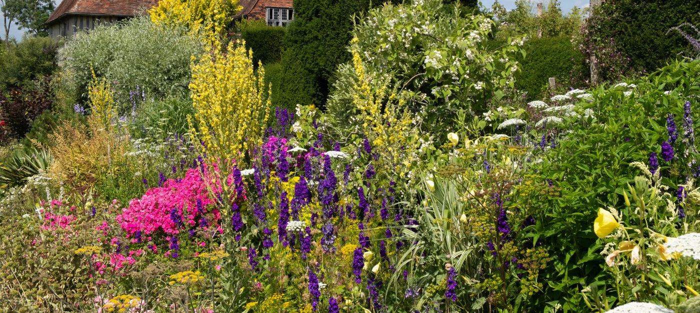 Garten ohne Pflegeaufwand