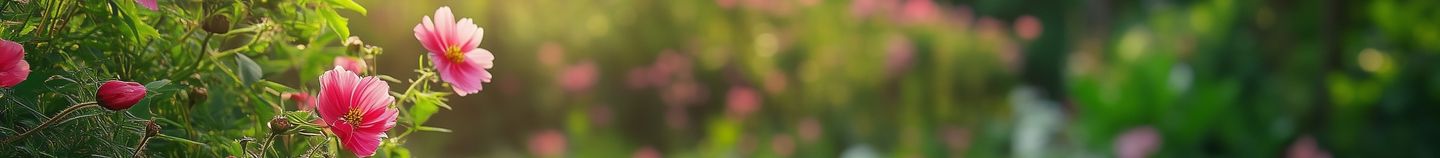 Herbstblühender Garten