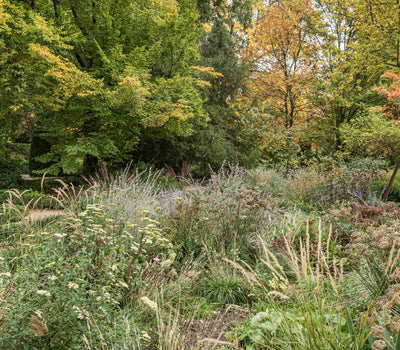 Natürlicher und ökologischer Garten