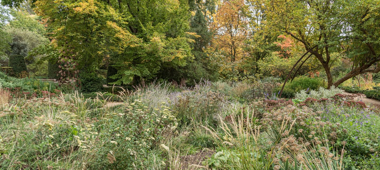 Natürlicher & Ökologischer Gartenzauber