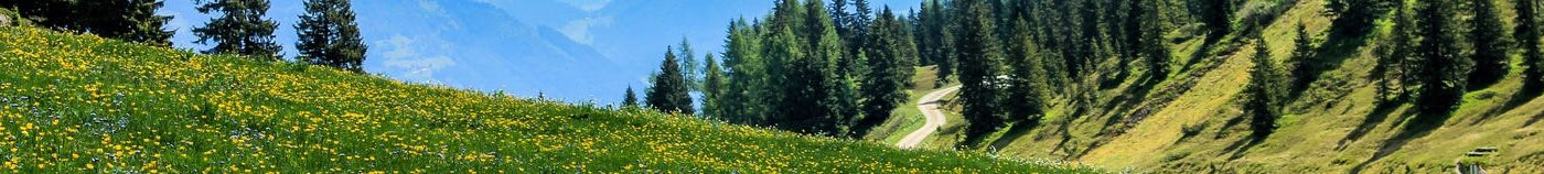 Wilder Gartenzauber