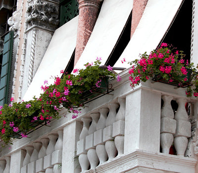 Windgeschützter Balkon