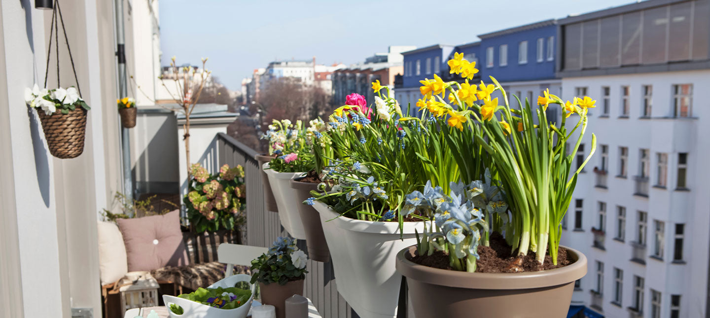 Blühender Balkon im Frühling