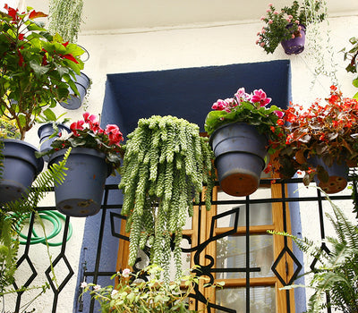 Pflegeleichter Balkon