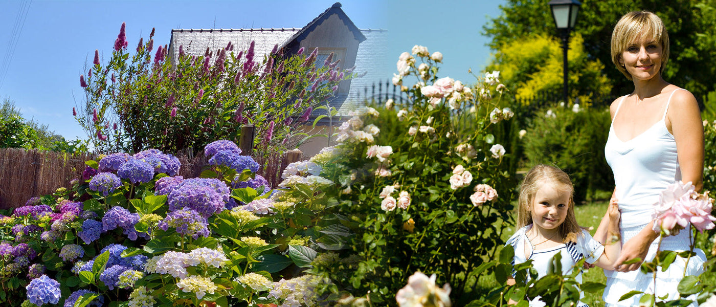 Ein Garten voller Aufmerksamkeiten bis zu 30% Rabatt!