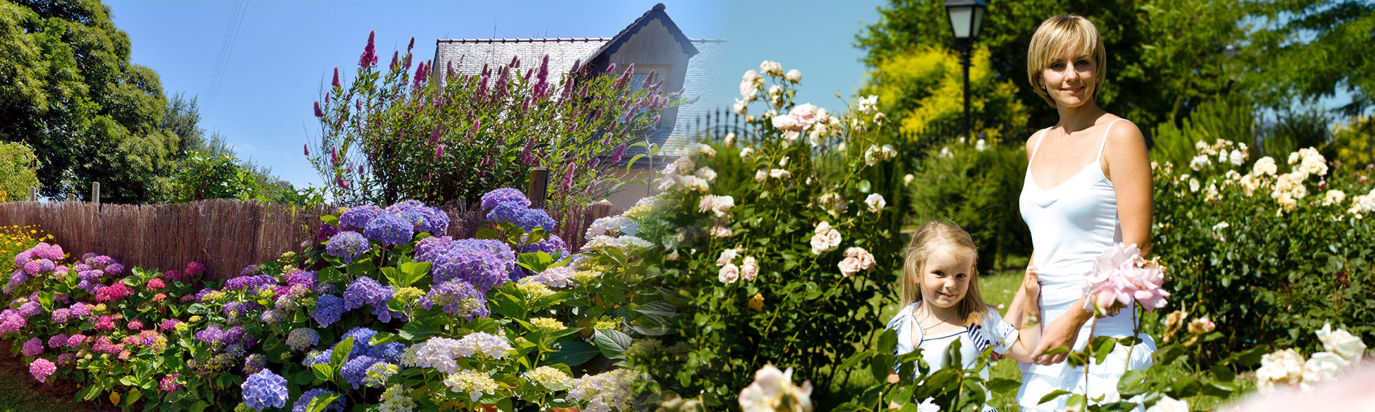 Ein Garten voller Aufmerksamkeiten bis zu 30% Rabatt!