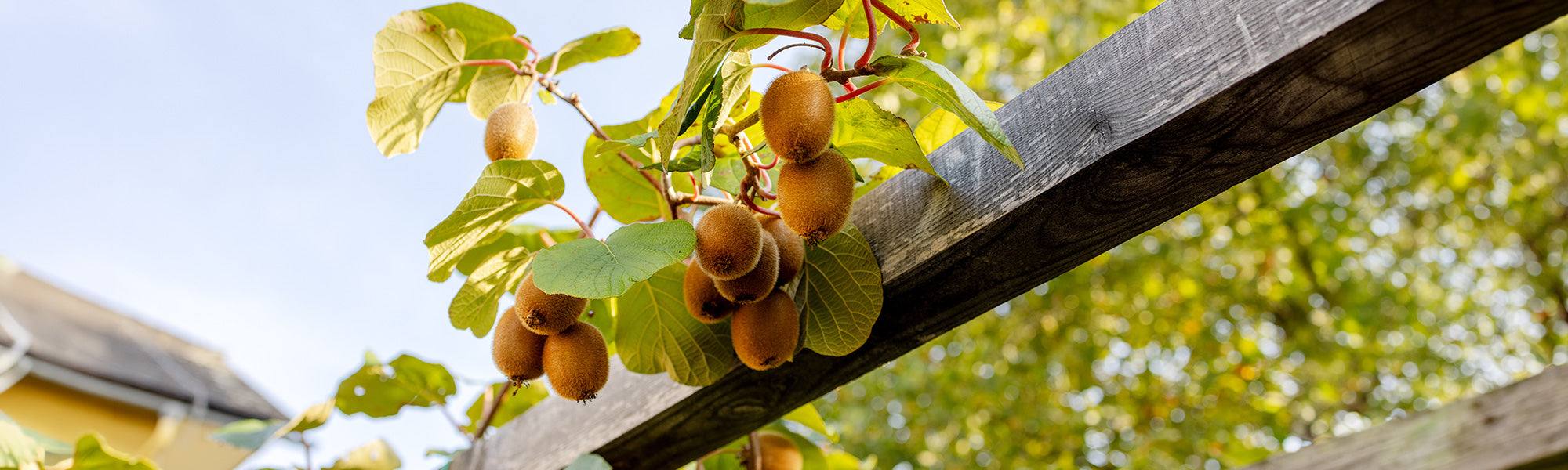 Gourmet-Garten bis zu 30 % Rabatt!